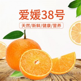 愛媛38號苗  四川柑橘苗批發(fā)基地 柑橘果苗基地  愛媛38號苗供應(yīng) 愛媛38號果凍苗批發(fā)價(jià)格