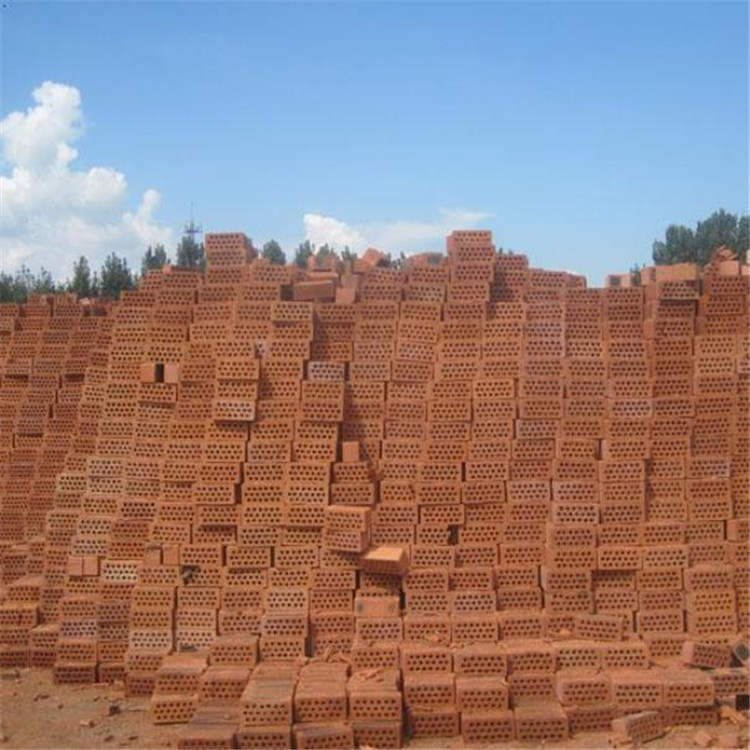 蒸汽磚 水泥多孔磚廠家供應(yīng) 防火透氣