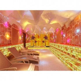 鹽蒸房品牌全鹽汗蒸房?jī)r(jià)格鹽屋設(shè)備蒸房投資終身保固進(jìn)口原材料