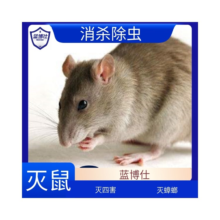 商場(chǎng)超市 滅鼠 除四害 環(huán)境消殺 科學(xué)防治 藍(lán)博仕殺蟲滅鼠