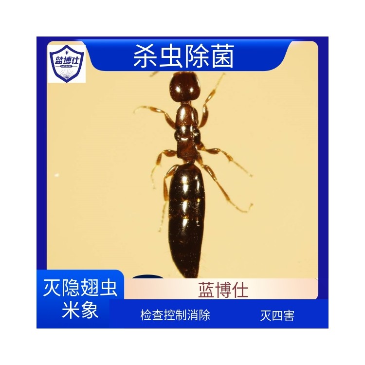家庭住宅小區(qū)滅隱翅蟲 除四害 環(huán)境消殺 生物防治 藍(lán)博仕殺蟲滅鼠
