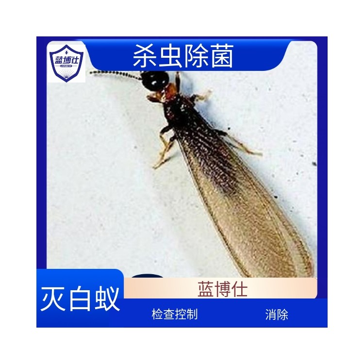 公園綠地 滅白蟻 滅四害 環(huán)境消殺 化學(xué)防治 藍(lán)博仕殺蟲滅鼠