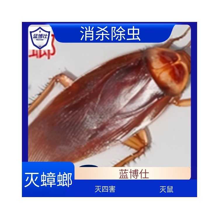 藍(lán)博仕滅蟑螂公司 專業(yè)提供上門除四害環(huán)境消殺服務(wù)