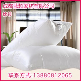 羽絨枕批發(fā) 枕頭枕芯廠(chǎng)家直銷(xiāo) 酒店床上用品可水洗 回彈羽絨枕芯加工定制