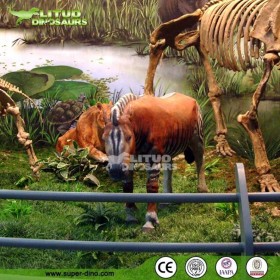 仿真平原斑馬 仿真動(dòng)物制作廠家  仿真動(dòng)物