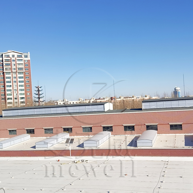 北方專門生產(chǎn)圓拱型通風(fēng)器的廠家