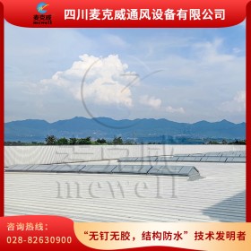 河北采光通風器 通風器生產(chǎn)廠家 通風器批發(fā)