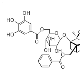 6'-O-沒食子酰白芍苷CAS號929042-36-4 曼思特現(xiàn)貨上市