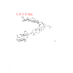 人參皂苷Rs1 CAS號(hào)：87733-67-3 HPLC≥98%