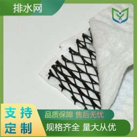 鐵路隧道過濾耐腐蝕三維復(fù)合排水板 垃圾填埋場花園運動場排水網(wǎng)
