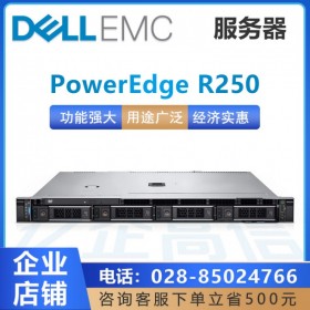 成都戴爾服務(wù)器總經(jīng)銷商_戴爾R250服務(wù)器_至強E四核心 雙硬盤raid1