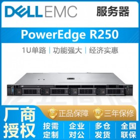阿壩州戴爾合作伙伴丨PowerEdge R250機(jī)架式服務(wù)器 2盤(pán)位 三年質(zhì)保