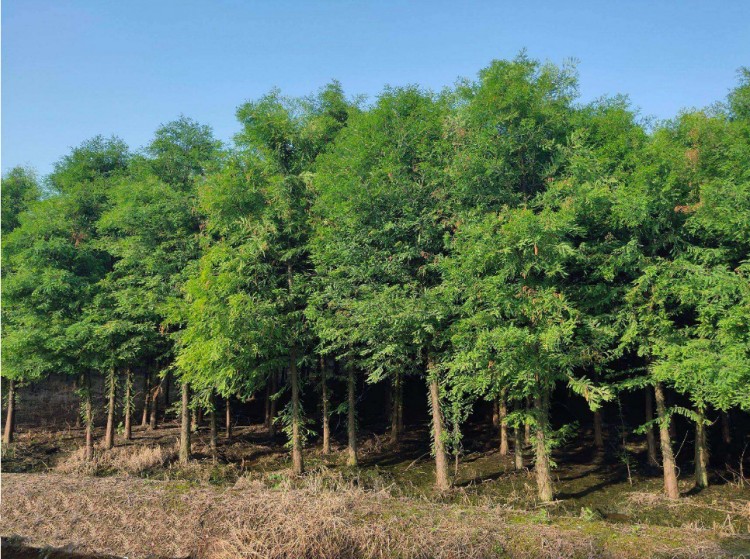 微信圖片_20201219171126