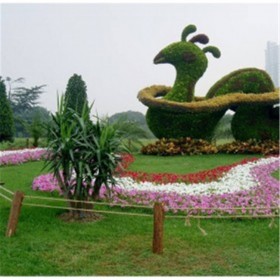 成都公路綠化養(yǎng)護(hù) 市政綠化養(yǎng)護(hù)  20年服務(wù)經(jīng)驗(yàn)