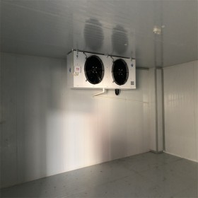 四川倉儲冷庫設(shè)計施工 速凍冷庫 定制冷凍庫