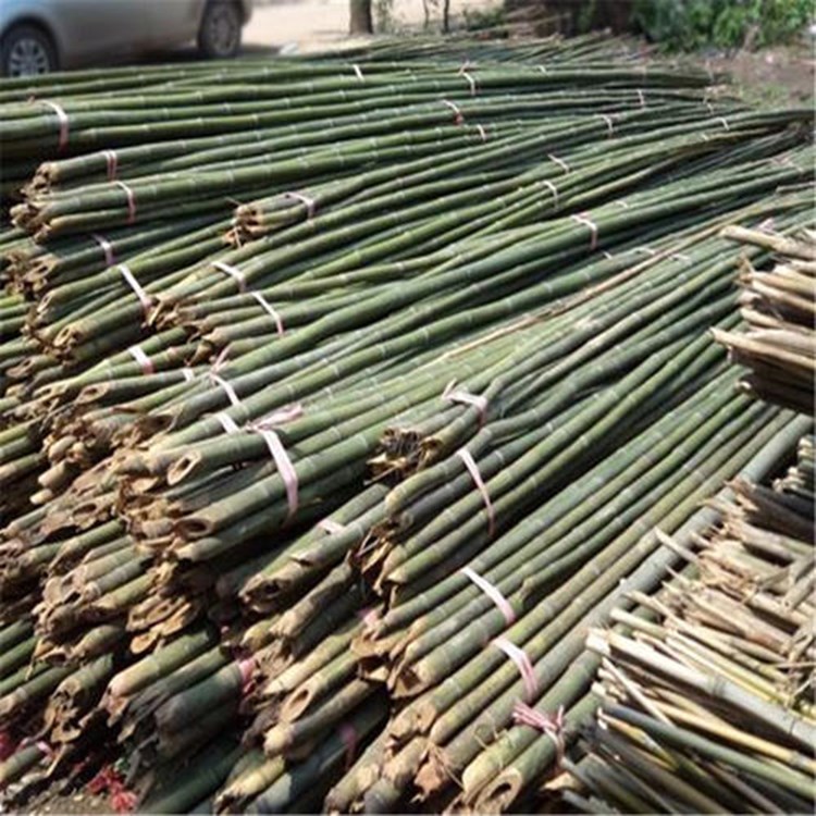 蔬菜大棚木支架 竹竿 菜架竹 長(zhǎng)短粗細(xì)可定制-潤(rùn)達(dá)