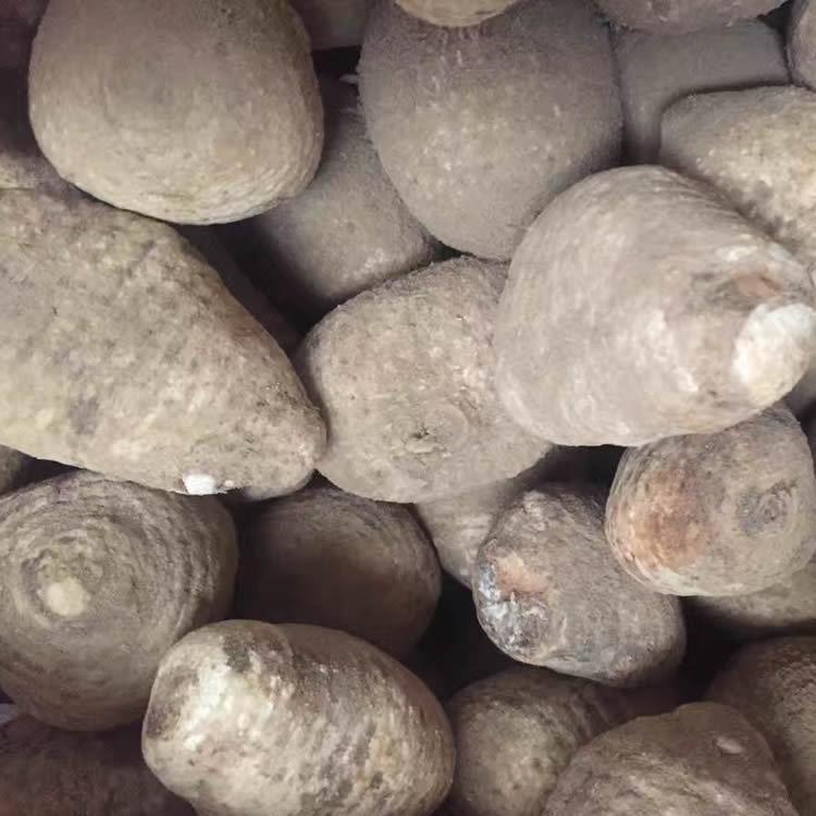 供應批發(fā)澤瀉成品,量大從優(yōu)