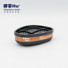 呼享8001有機(jī)氣體及蒸氣濾毒盒防苯噴漆農(nóng)藥化工醚異味工業(yè)防護(hù)