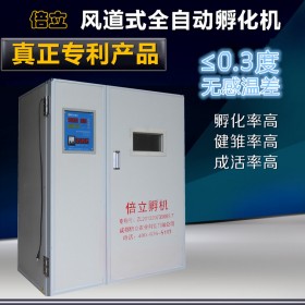 批發(fā)小型孵化機(jī)1056枚雞鴨鵝鴿子全自動(dòng)孵化箱