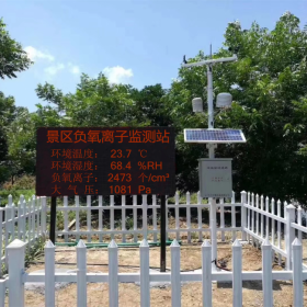 揚(yáng)塵監(jiān)測系統(tǒng)噪音實(shí)時在線監(jiān)測環(huán)境智慧工地廠家直銷