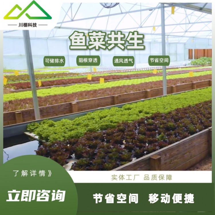無土栽培設(shè)備魚菜共生系統(tǒng)種植水培蔬菜種植箱立體栽培整