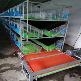 四川兔籠批發(fā) 折疊式免清糞兔籠廠家 三層仔母籠 折疊大號兔籠