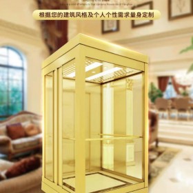 別墅電梯 觀光別墅閣樓復(fù)式躍層升降機(jī) 節(jié)能安全 帶燈光 時(shí)尚簡(jiǎn)約