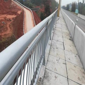 防撞護(hù)欄 不銹鋼護(hù)欄 城市道路護(hù)欄 按需定制 多種型號(hào)