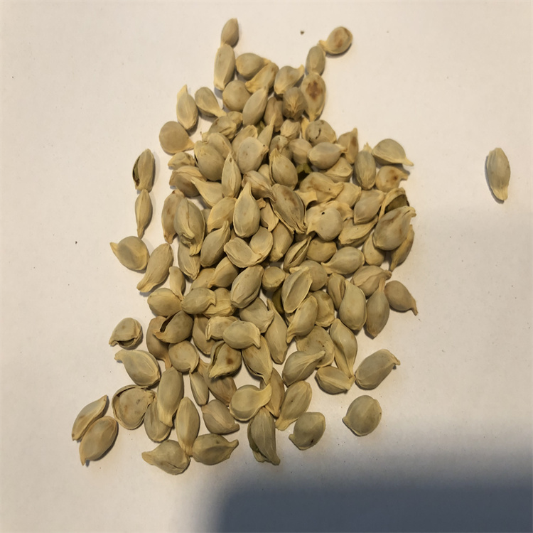 硫酸長(zhǎng)春新堿 2068-78-2  對(duì)照品標(biāo)準(zhǔn)品 純度98% 圖譜全