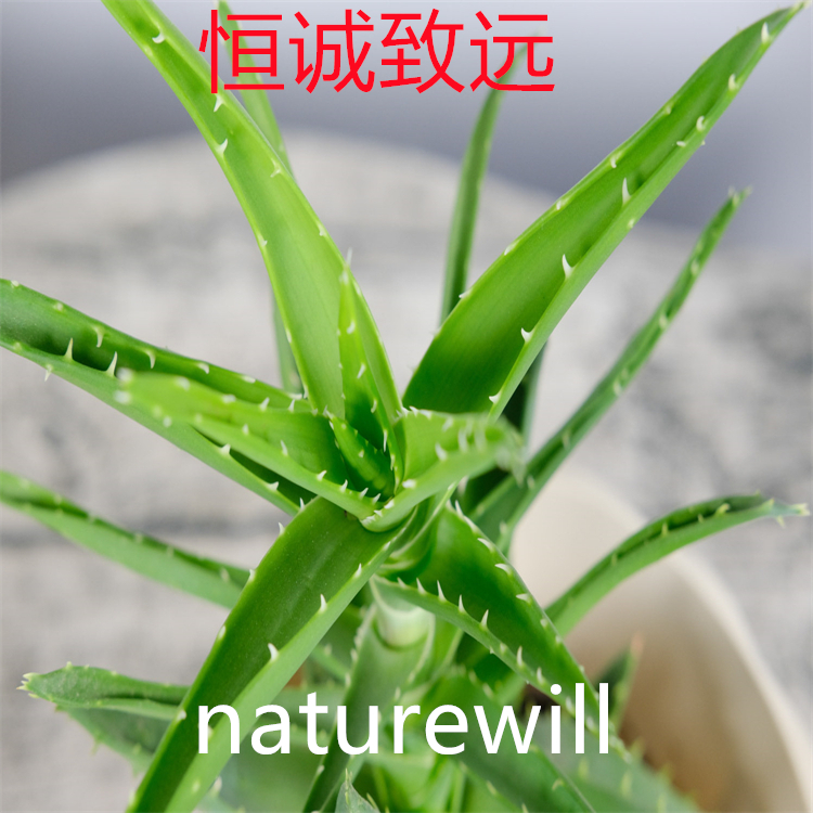 羅漢果皂苷VI A  2146088-13-1   對照品標準品 純度98% 圖譜全