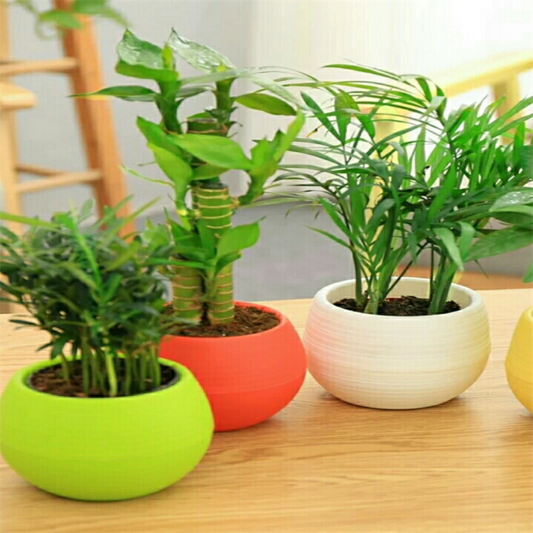 88668-99-9 中藥對(duì)照品標(biāo)準(zhǔn) HPLC≥98% 科研專用