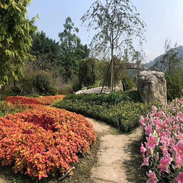 93098-79-4   標(biāo)準(zhǔn)品 對(duì)照品 純度高 三大圖譜  科研專用