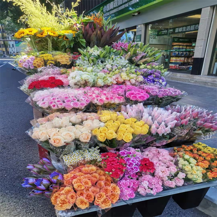 赤芝酸A  95311-94-7  科研專用 98% 自制對(duì)照品  三大圖譜