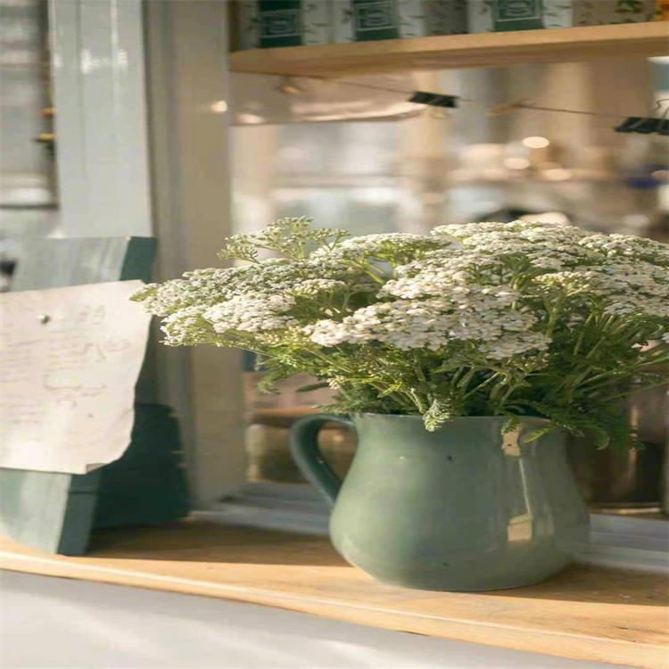 靈芝醛A  104700-98-3  對(duì)照品  科研專用 圖譜全 純度高