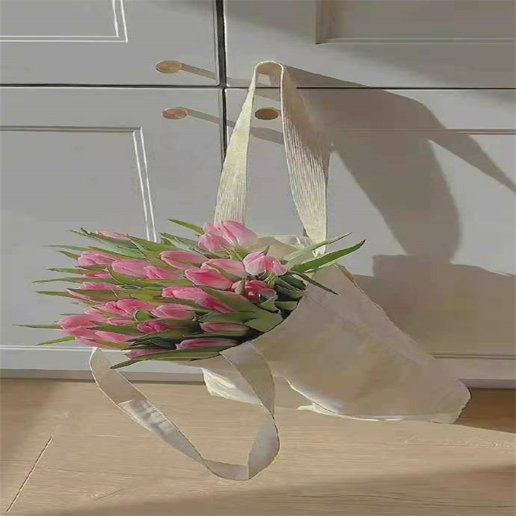 靈芝酸B  81907-61-1   支持科研 對(duì)照品標(biāo)準(zhǔn)品 圖譜全