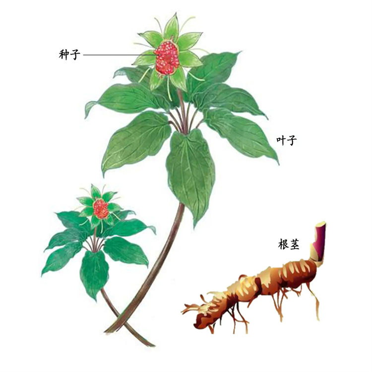102421-42-1 中藥對照品標準品 純度98% 科研專用