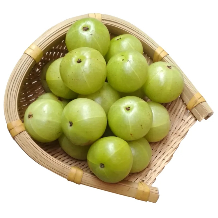 乙酰金雀花堿 6018-52-6 HPLC≥98% 自制對(duì)照品 標(biāo)準(zhǔn)品廠家