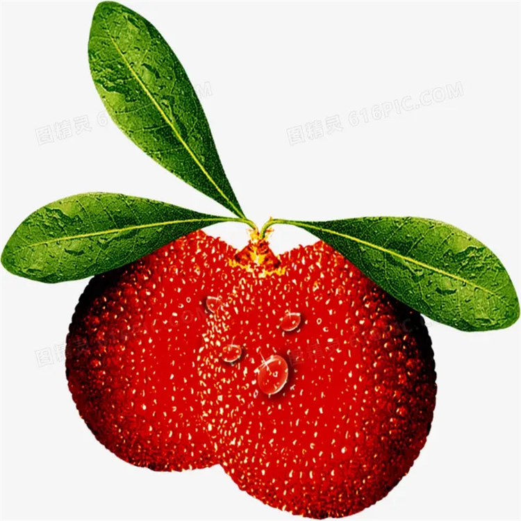 正三十三烷   CAS:630-05-7 含量99% 對照品標準品 科研專用