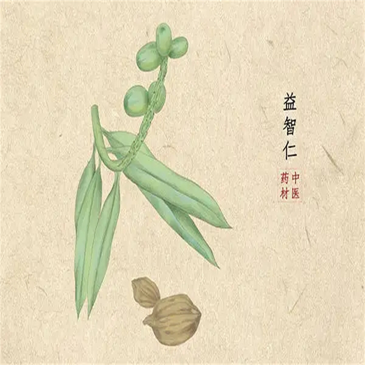 棕櫚酸乙酯 628-97-7 十六酸乙酯 含量98% 科研專用標準品對照品