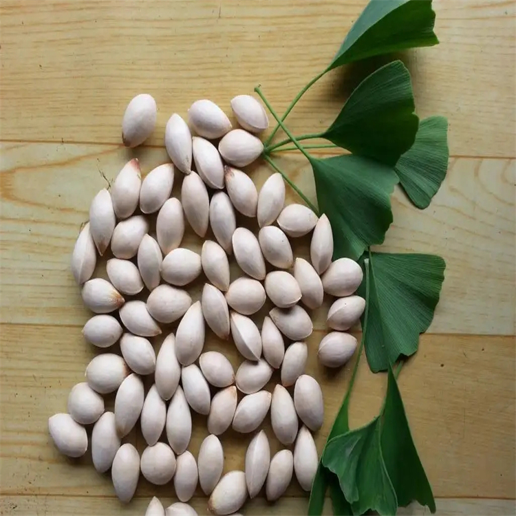 左旋千金藤啶堿 L-Stepholidine 16562-13-3 標準品 HPLC≥98%