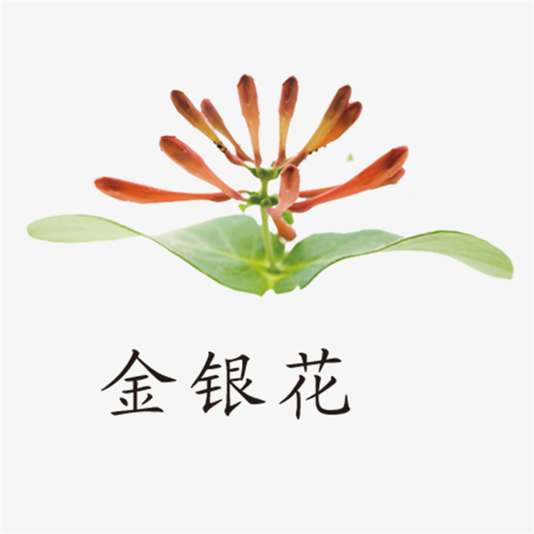 五倍子醛13677-79-7對(duì)照品廠家 標(biāo)準(zhǔn)品 科研專(zhuān)用