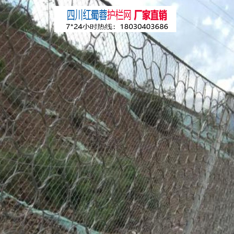 廠家直銷山體柔性主動被動邊坡防護(hù)網(wǎng) 廠家直銷