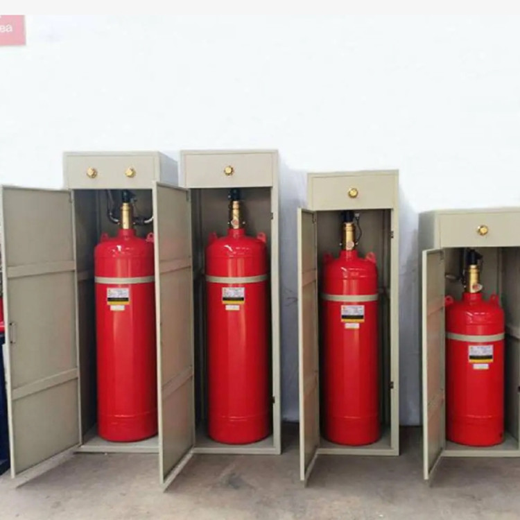 七氟丙烷雙柜滅火裝置 機(jī)房配電房自動(dòng)消防滅火器