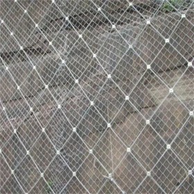 四川主動防護網(wǎng)批發(fā)價格 邊坡防護網(wǎng) 雨期防汛邊坡防護網(wǎng) 防滑坡鋼絲網(wǎng)