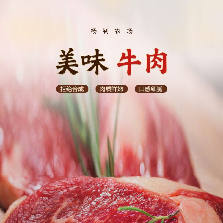楊釗農(nóng)場-牛肉_01
