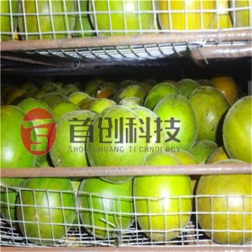 羅漢果烘干機(jī) 羅漢果無(wú)花果烘干房 歡迎咨詢