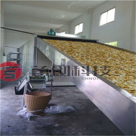 佛手果烘干機-中藥材烘干設(shè)備廠家