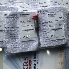 1440-ACC-GP-T探頭 1443-ACC-GP-S現(xiàn)貨