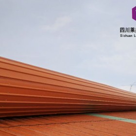 Leo-W70屋脊通風器