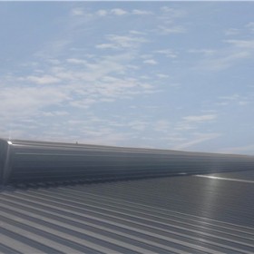 Leo-W60屋脊通風器